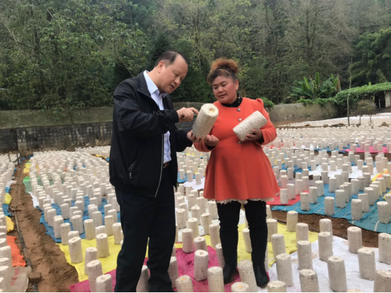 1697592374514381.png image.png